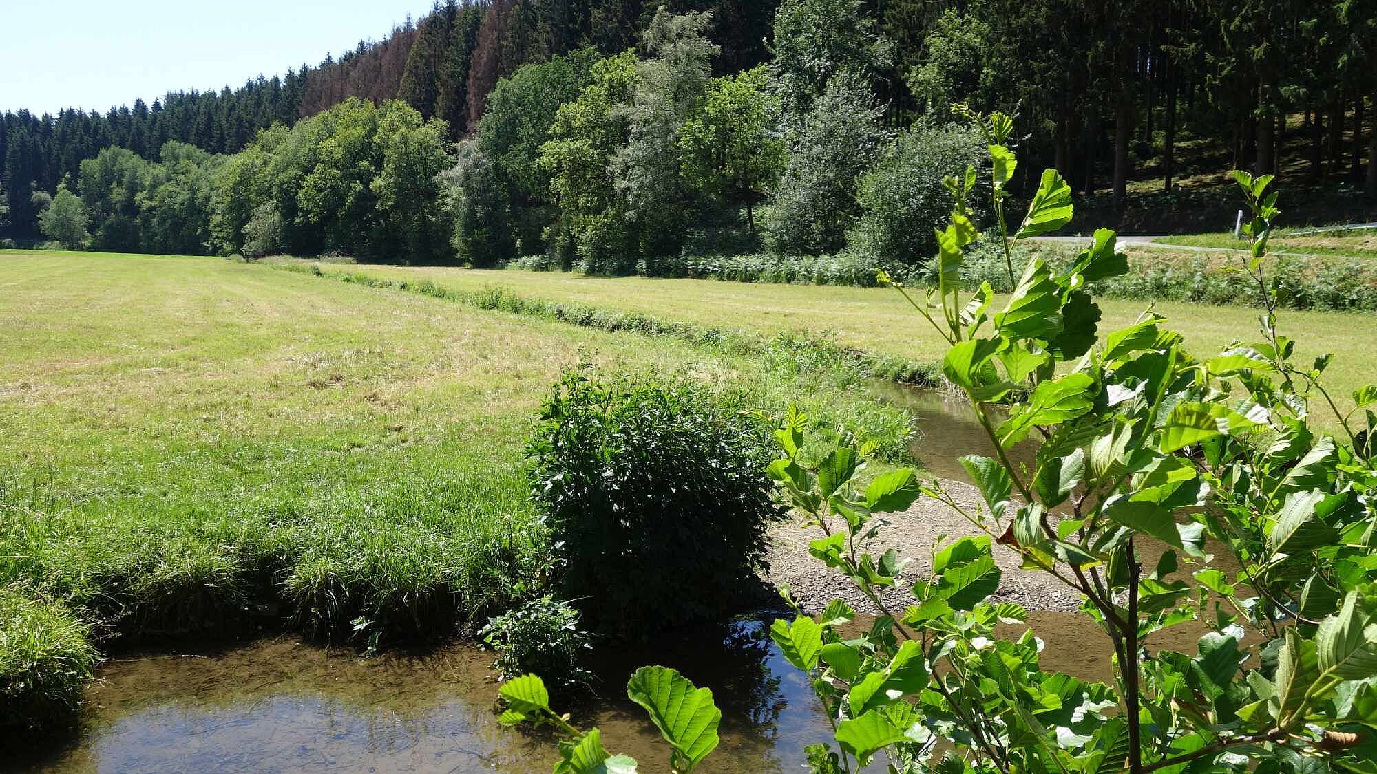 Die Ennepe in Halver im Märkischen Sauerland