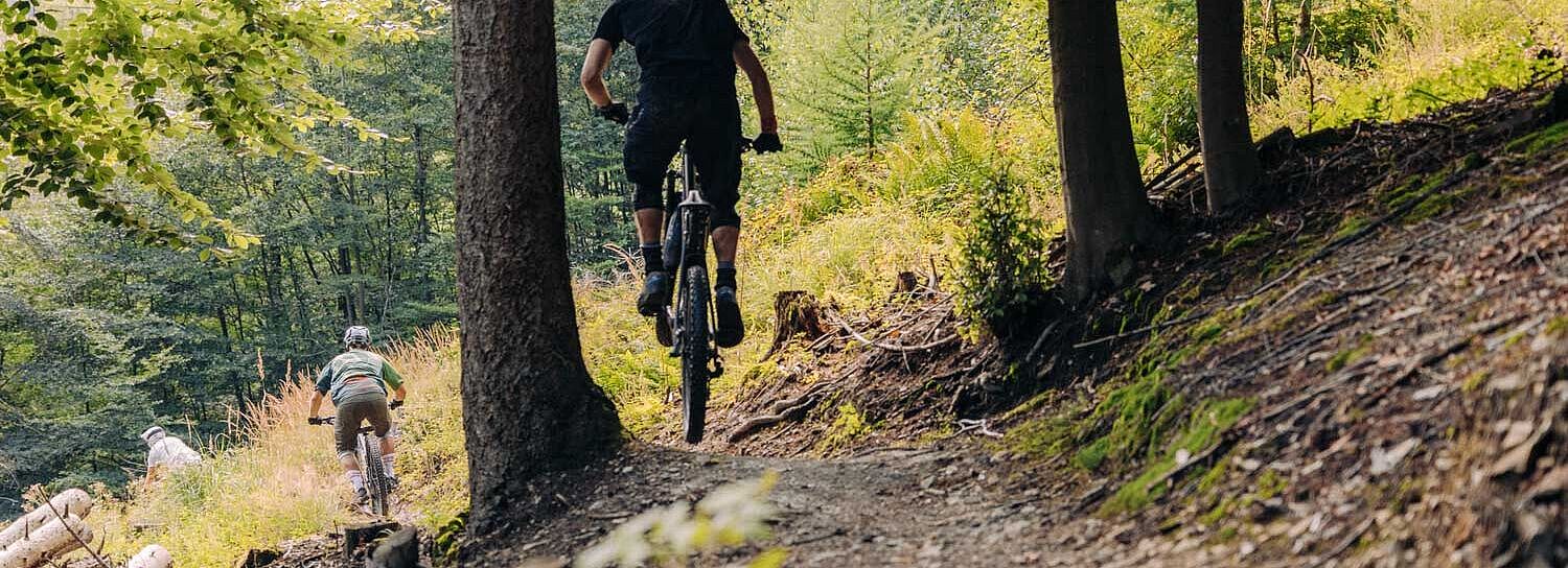 Mountainbiker auf dem Eisenwald Trail in Iserlohn im Märkischen Sauerland