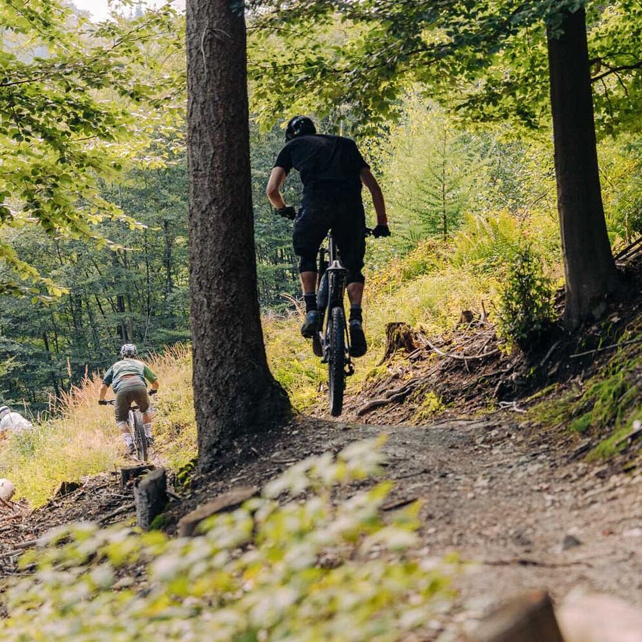 Mountainbiker auf dem Eisenwald Trail in Iserlohn im Märkischen Sauerland