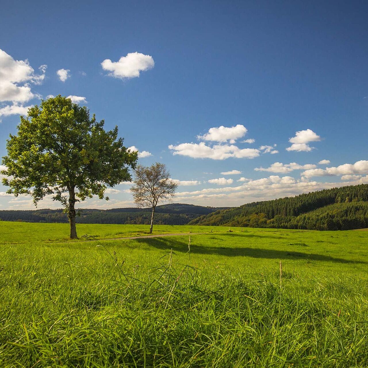 Landschaft in Herscheid im Märkischen Sauerland