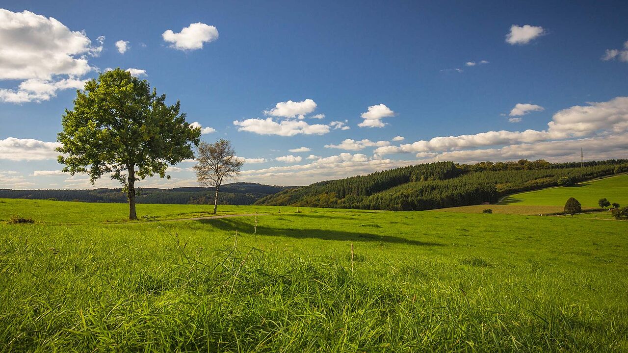 Landschaft in Herscheid im Märkischen Sauerland