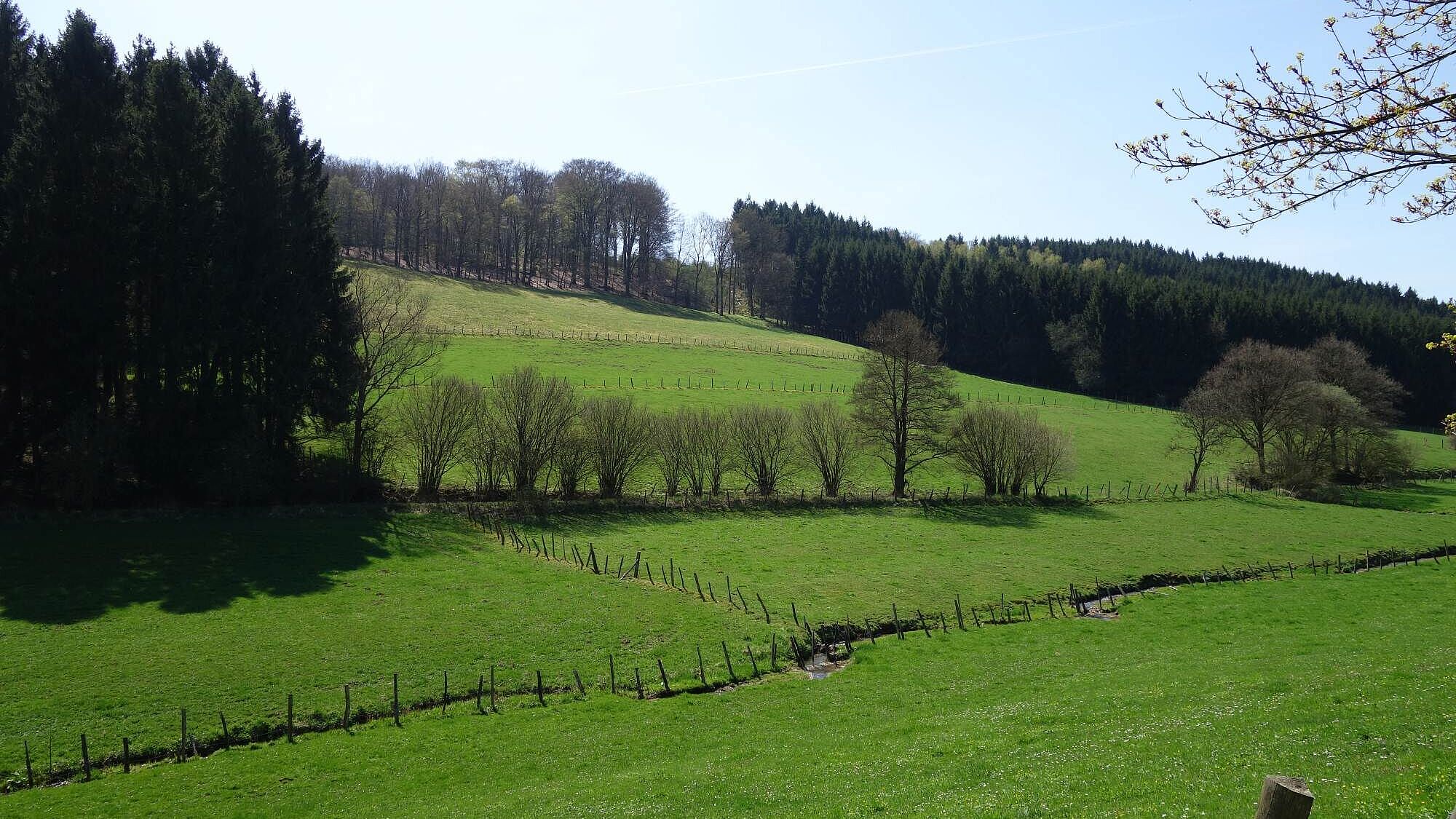 Das Schlechtenbachtal bei Halver im Märkischen Sauerland