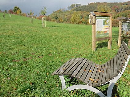 Streuobstwiesen im Märkischen Sauerland