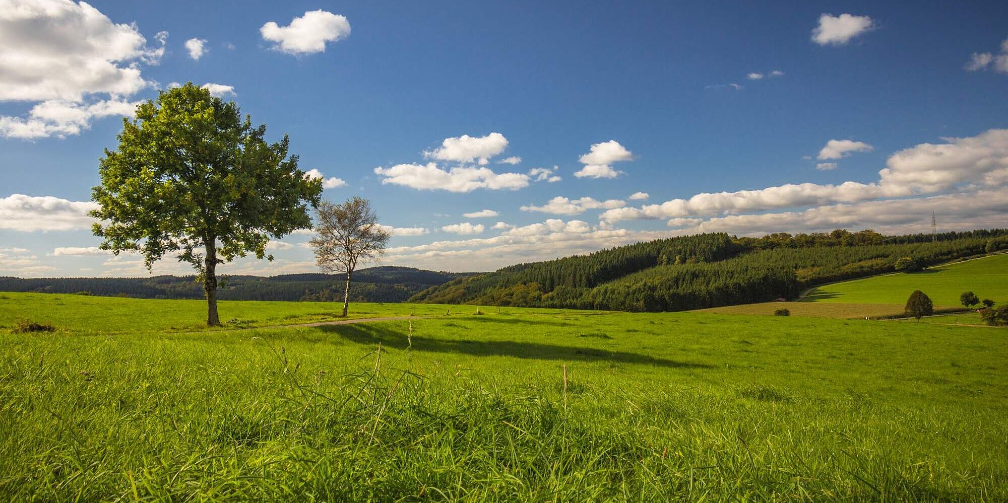 Wandern in Herscheid im Märkischen Sauerland 