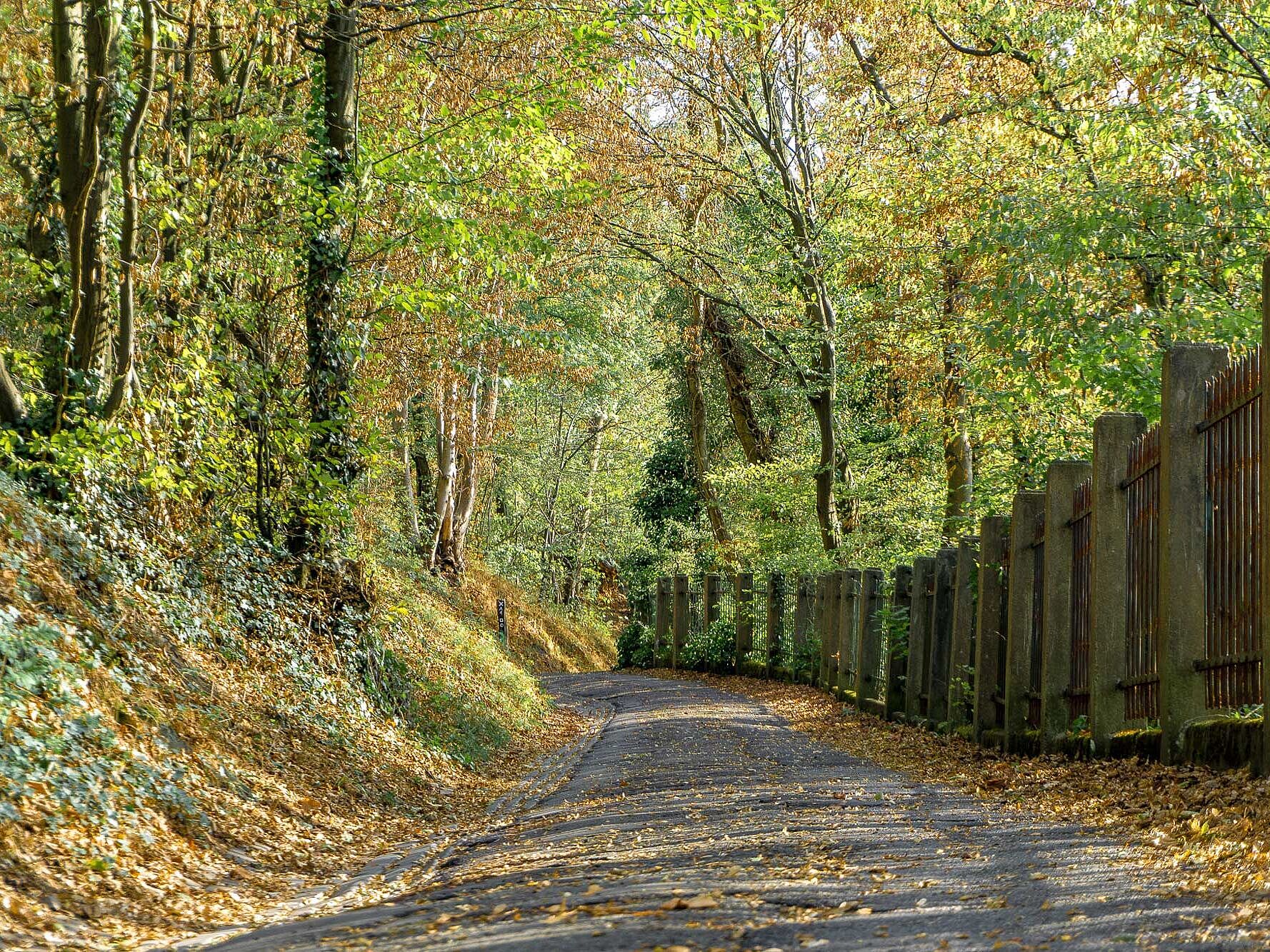 Wanderweg Sauerland-Höhenflug in Altena