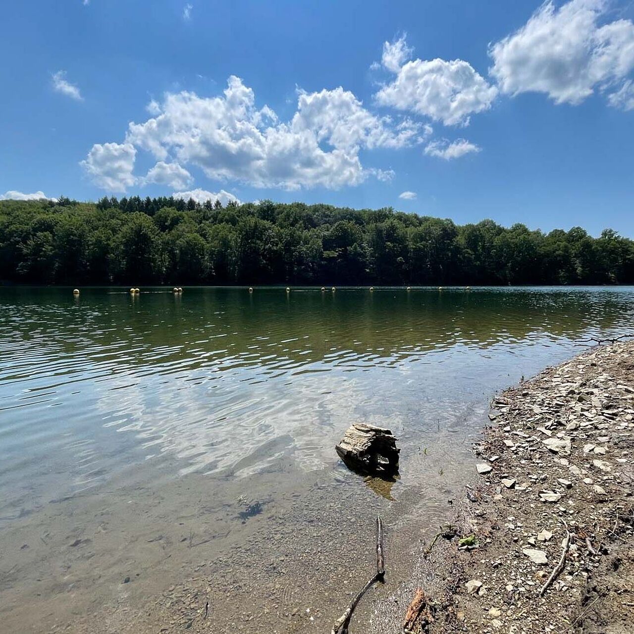 Badestelle an der Glörtalsperre im Märkischen Sauerland