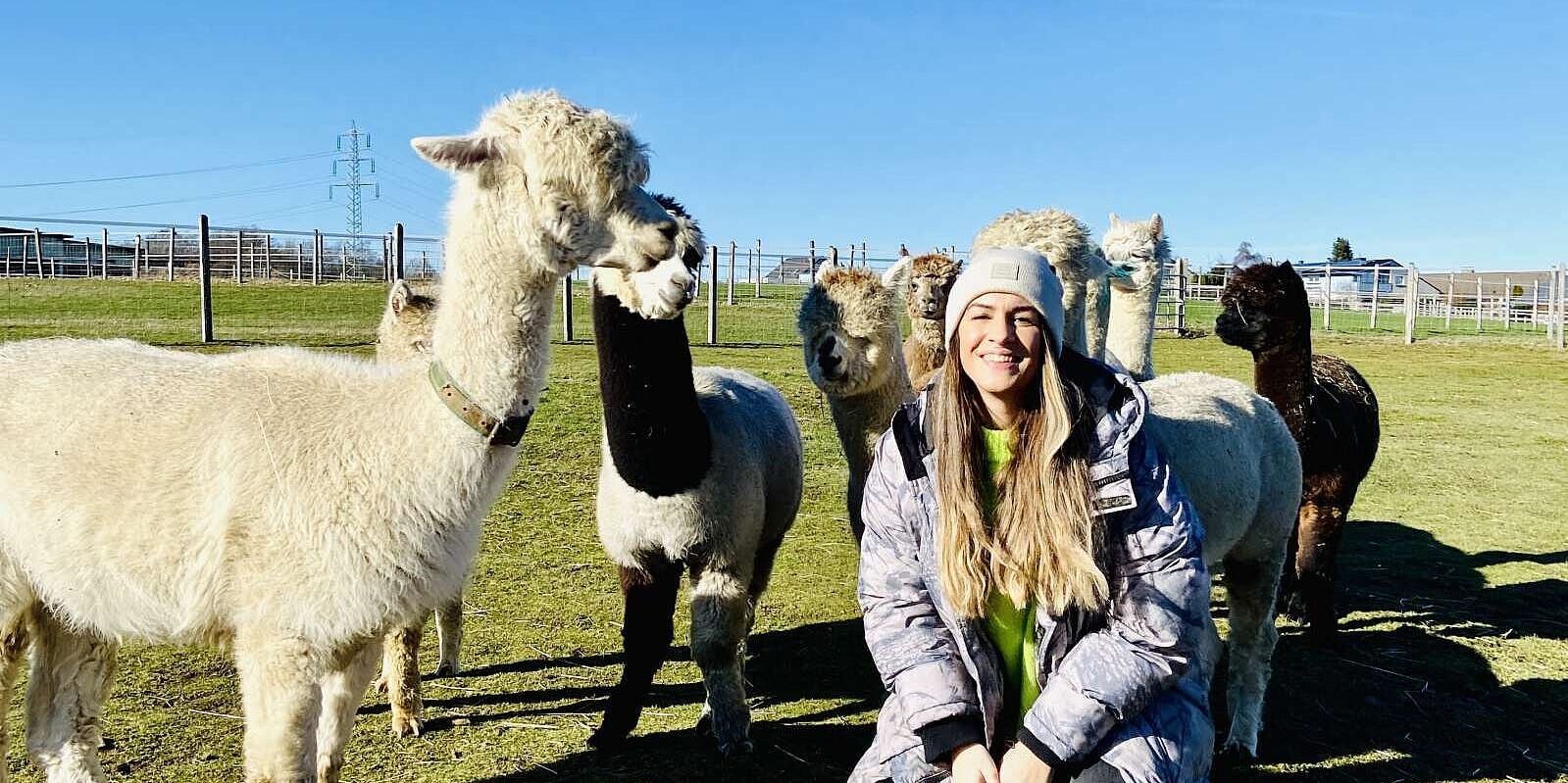 Cansu entdeckt die Höhendorf Alpakas in Nachrodt-Wiblingwerde