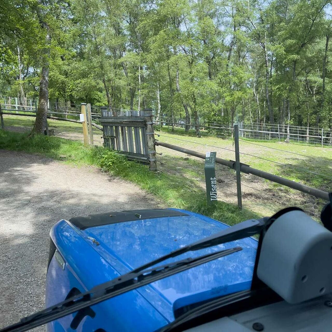 Wildgehege Mesekendahl in Schalksmühle im Märkischen Sauerland