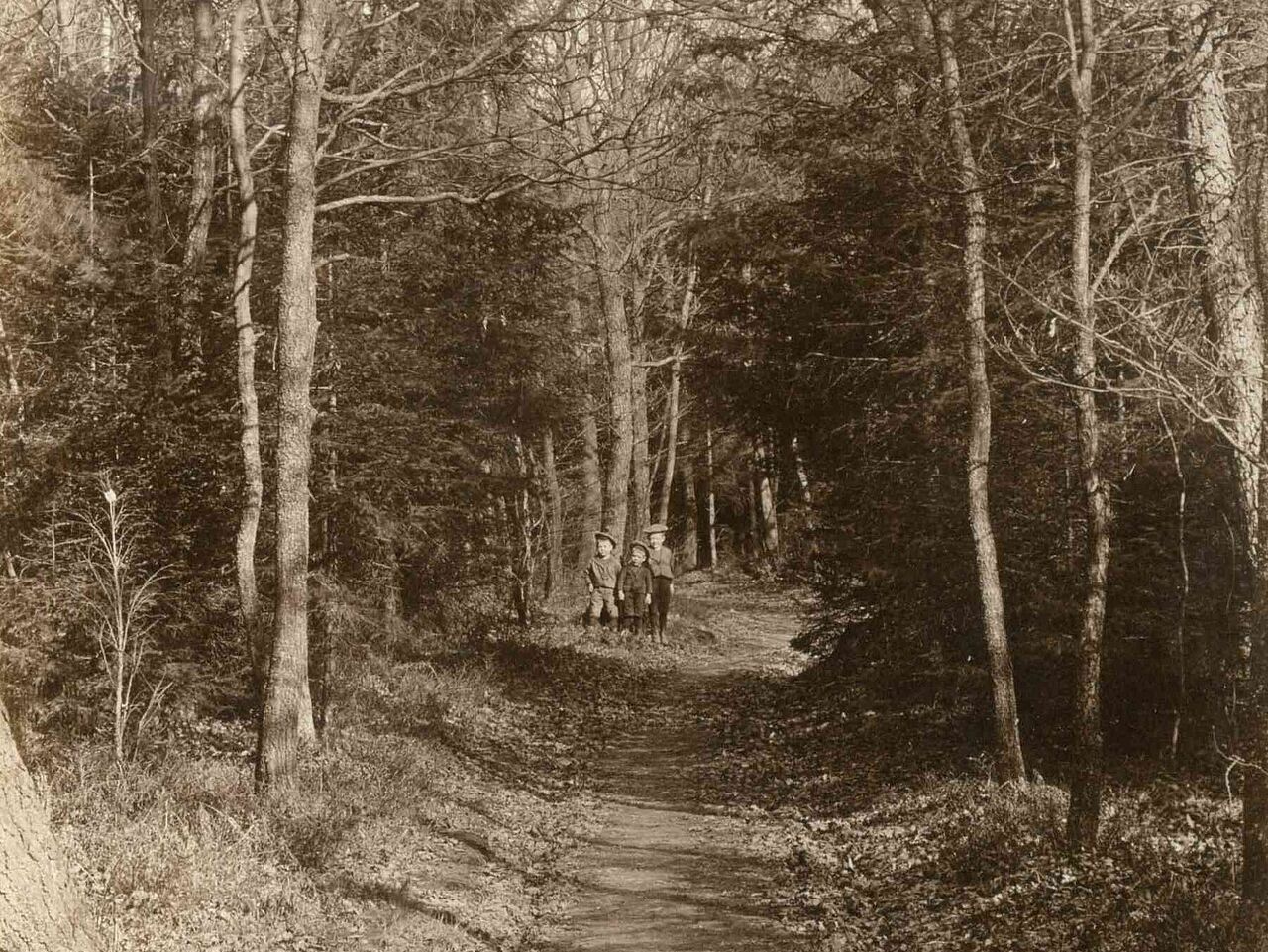 Ernst Danz mit Kindern auf einem Waldweg