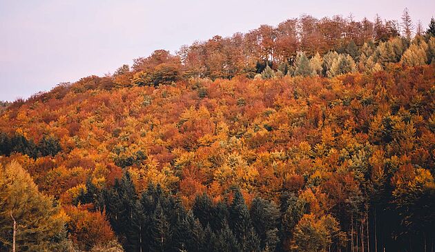 Herbst im Märkischen Sauerland