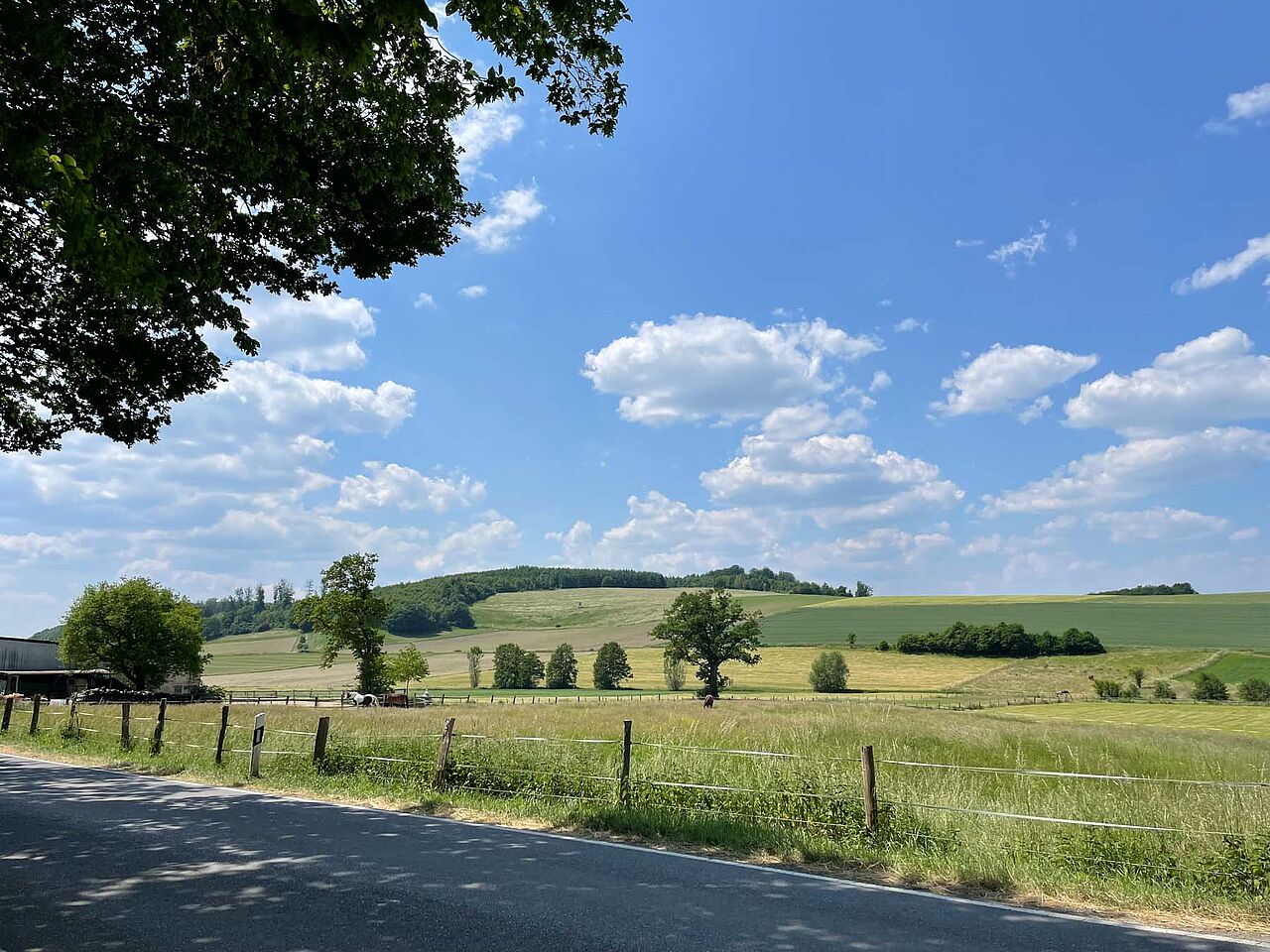 Landschaft Märkisches Sauerland beim Ausritt mit ISI Rider in Balve