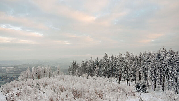 Winter im Ebbegebirge im Märkischen Sauerland