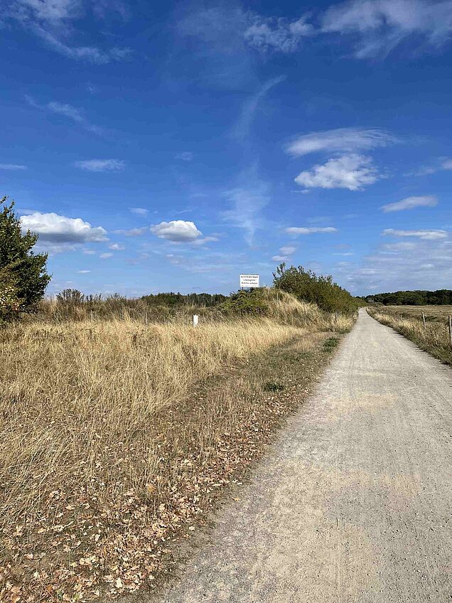 Weg zum Steinbruch im Naturschutzgebiet Apricke