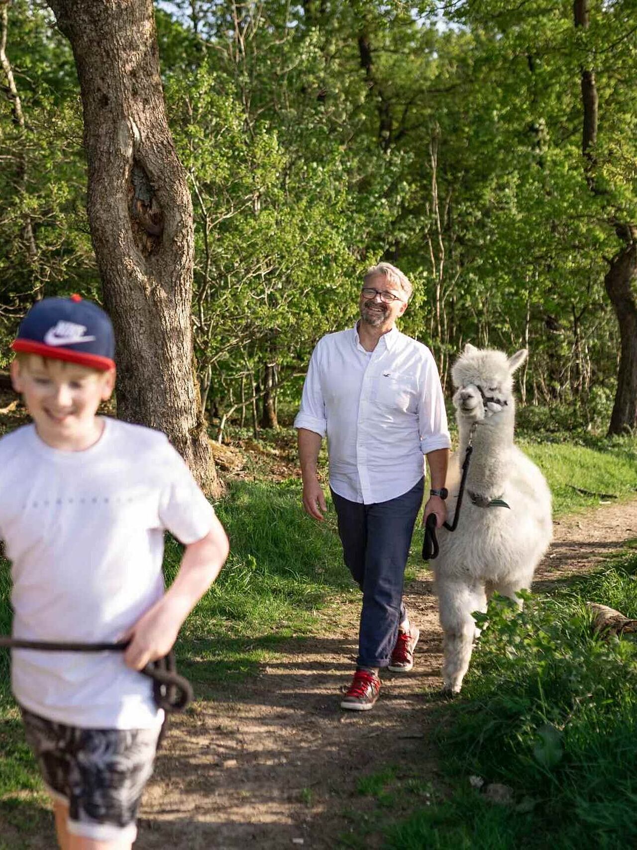 Eine Alpaka-Wanderung ist ein großes Vergnügen für Groß und Klein