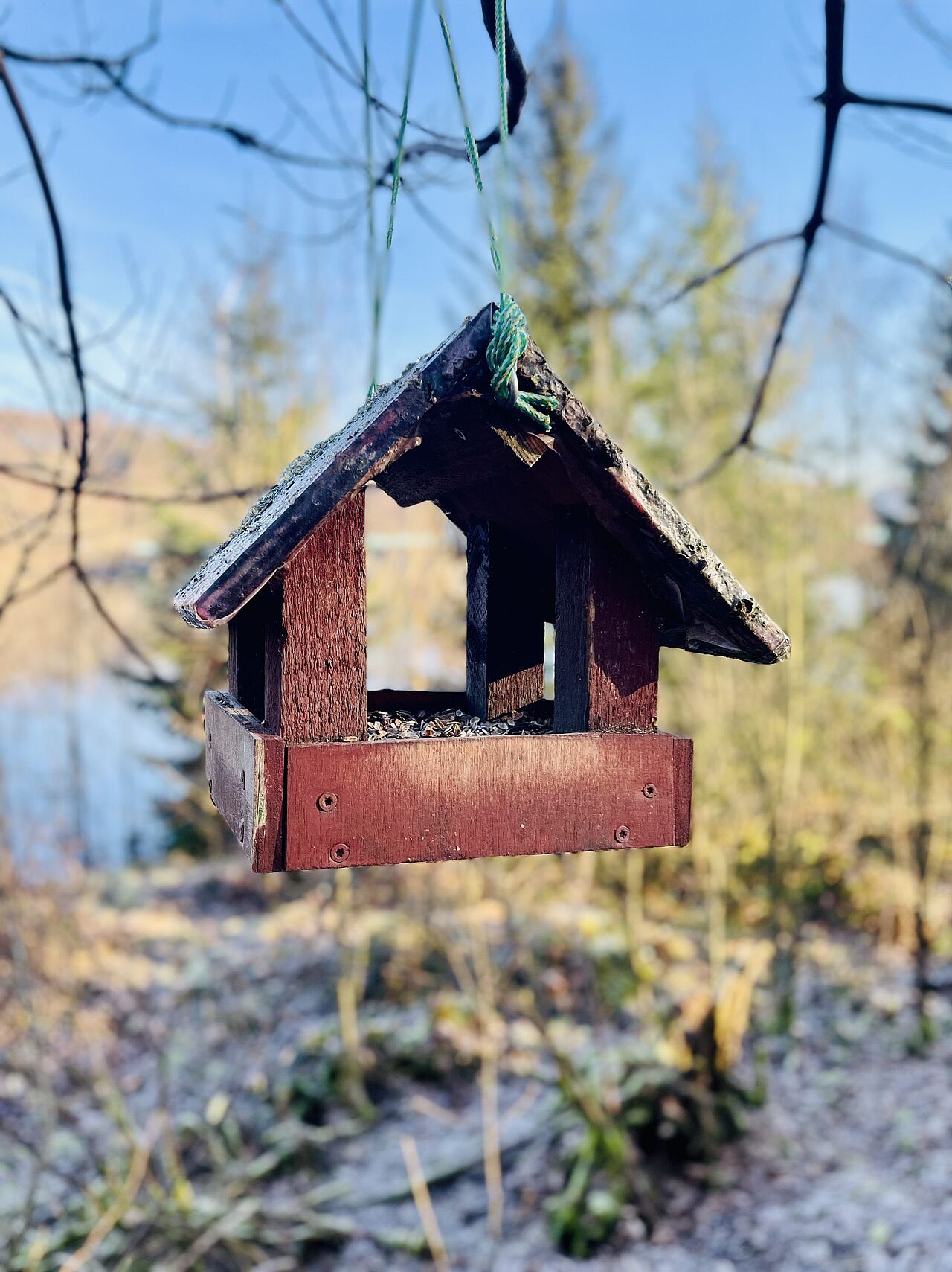 Alle Vogelhäuschen sind mit Futter bestückt