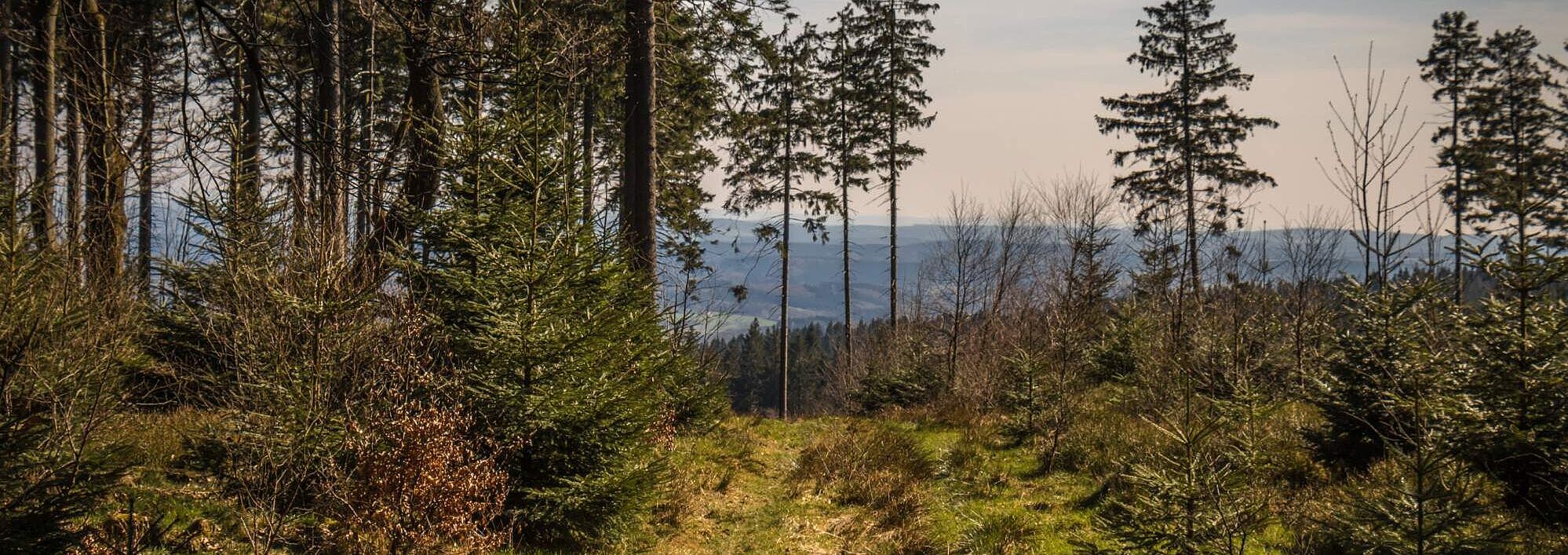 Nordhelle im Ebbegebirge im Märkischen Sauerland