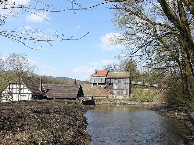 Hüttenteich der Luisenhütte in Balve