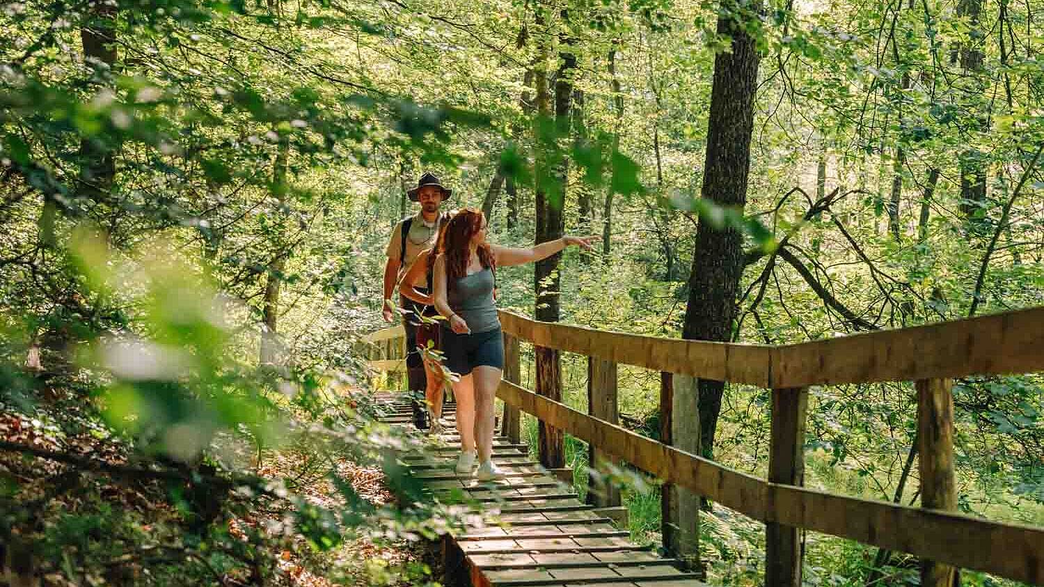 Wanderung mit Ranger auf dem Höhenflug im Märkischen Sauerland