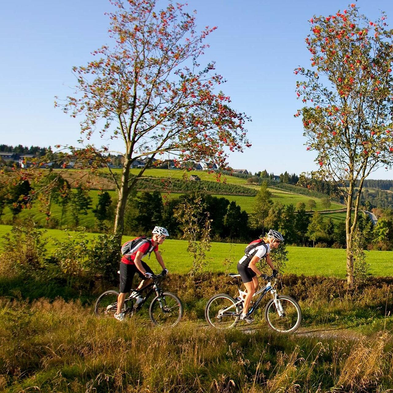 Mountainbiken im Märkischen Sauerland