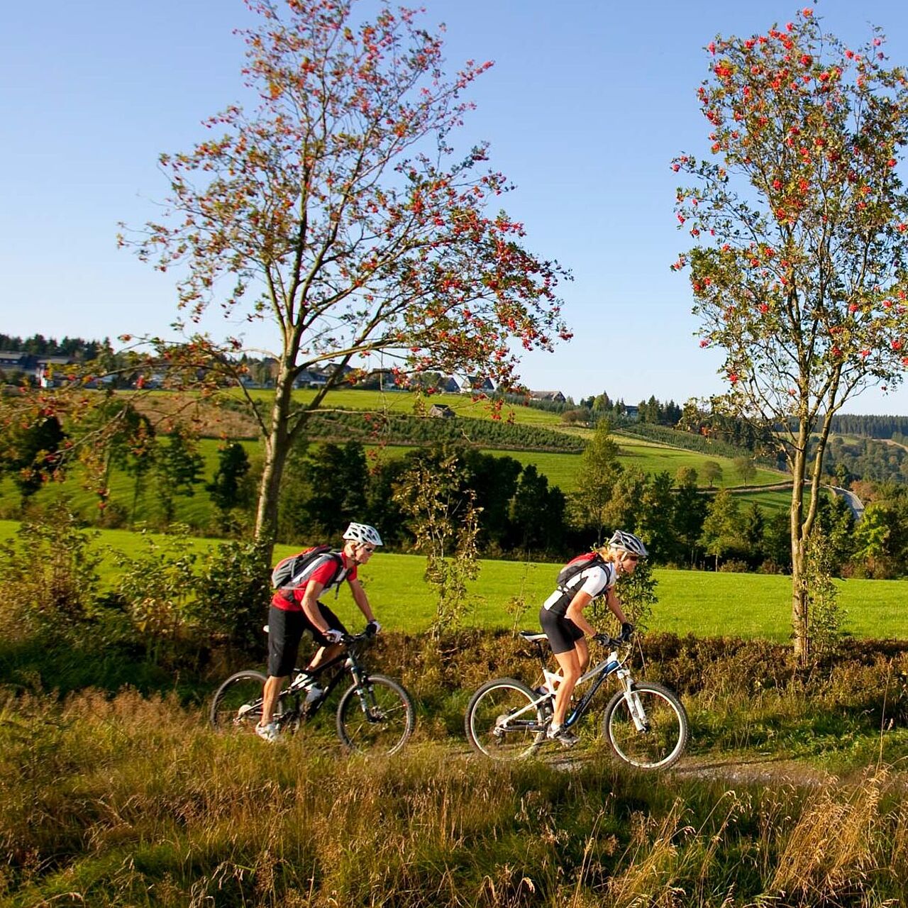 Mountainbiken im Märkischen Sauerland