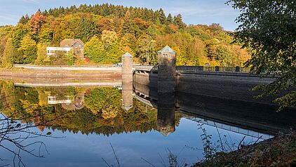 Fürwigge-Talsperre zwischen Meinerzhagen und Lüdenscheid umgeben von Wald im Märkischen Kreis