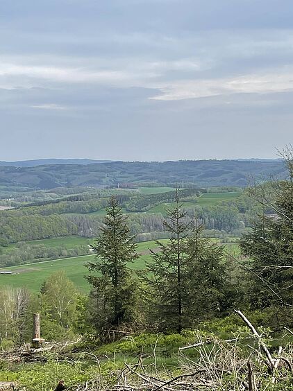 Rangerführung durch das Ebbegebirge im Märkischen Sauerland