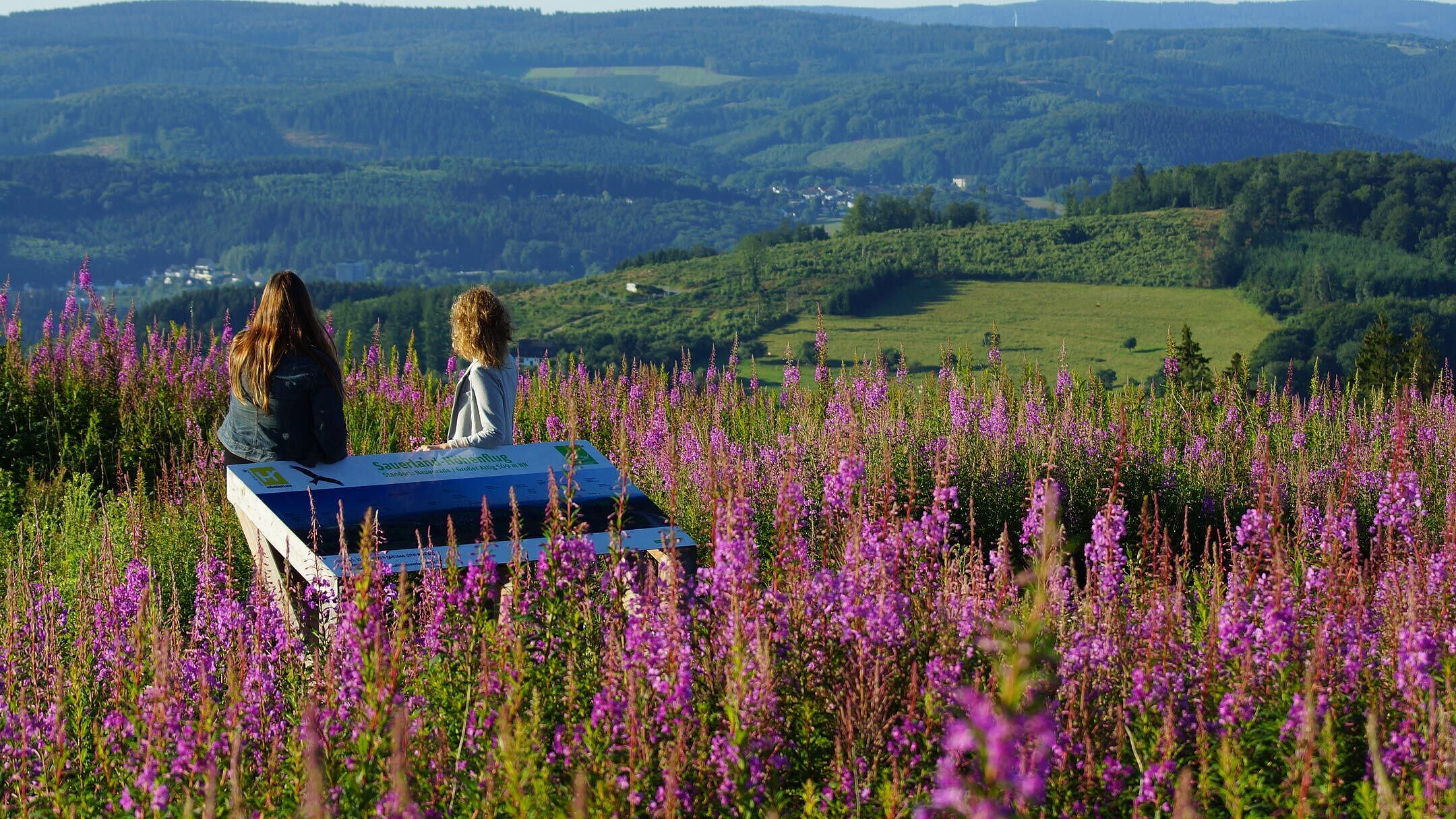 Wanderung auf dem Hönnepfad bei Balve