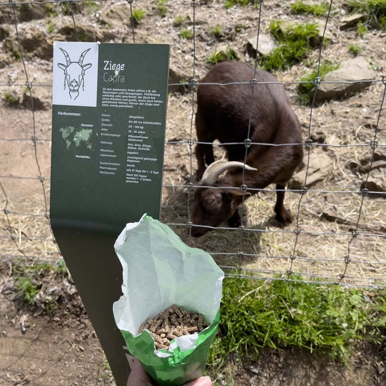 Wildgehege Mesekendahl in Schalksmühle im Märkischen Sauerland