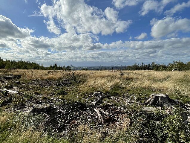 Wunderbarer Panoramablick Richtung Nordwesten