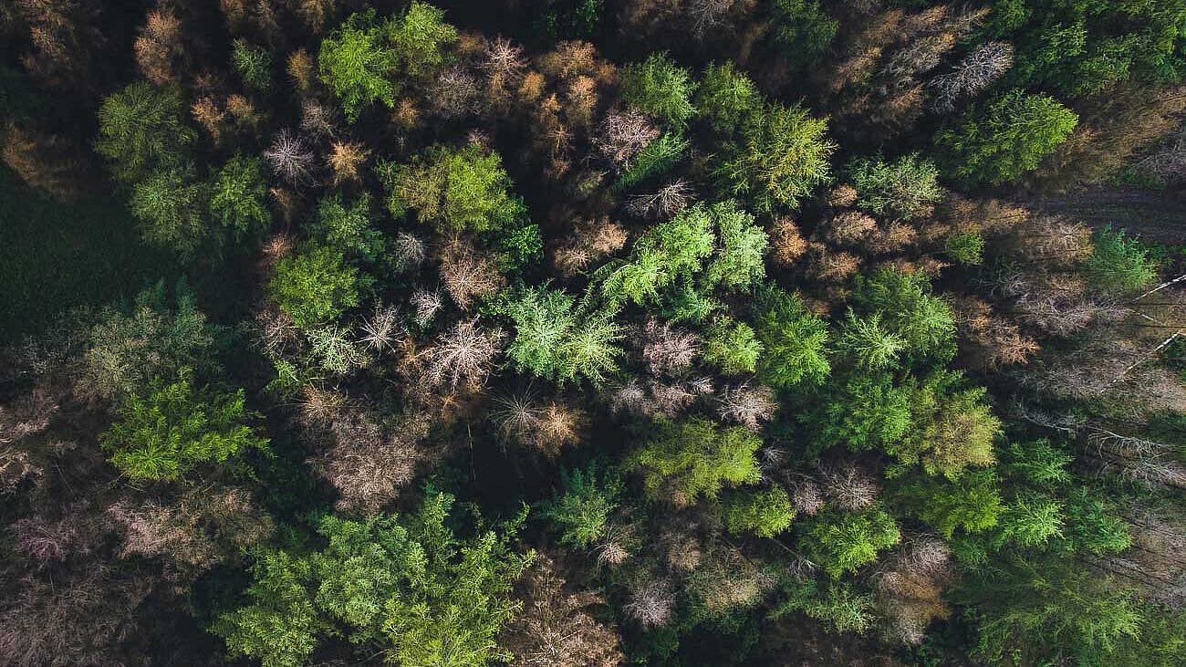 Luftbild Wald Märkisches Sauerland