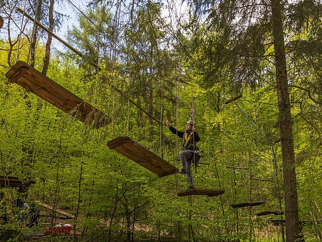 Nervenkitzel ist im Kletterwald Halver garantiert