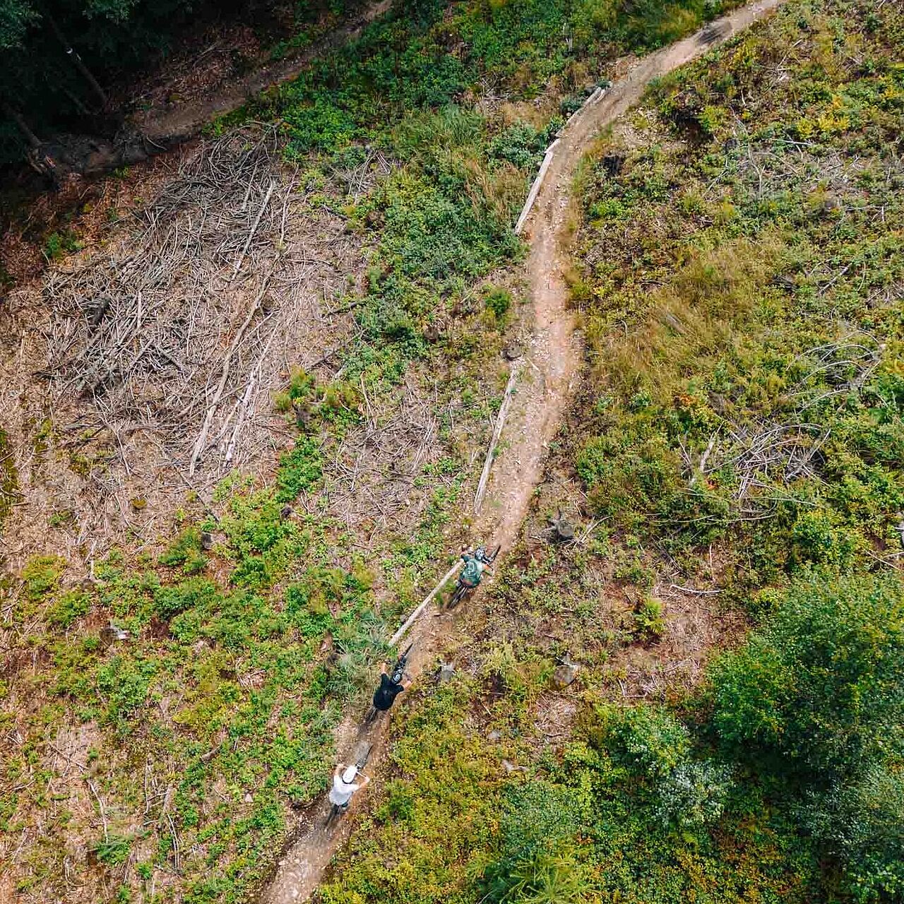 Mountainbiker auf dem Eisenwald Trail in Iserlohn im Märkischen Sauerland