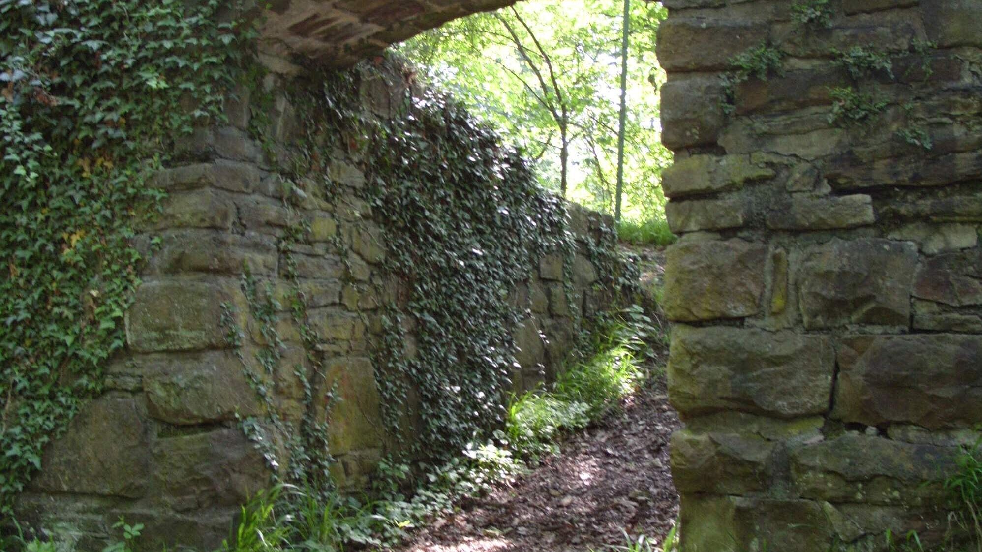 Rodenburg auf dem Rodenberg in Menden