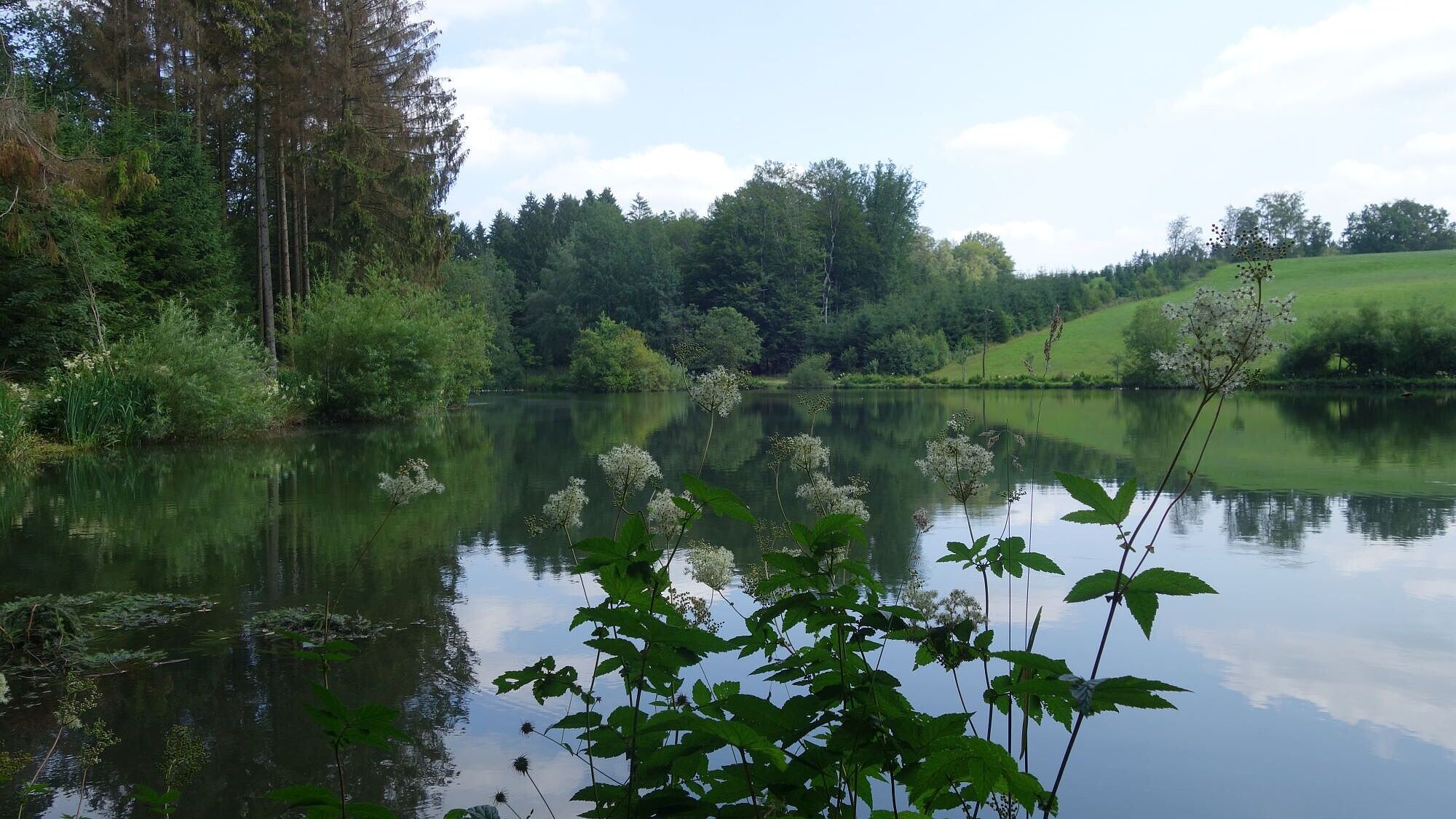 Wilde Ennepe bei Halver im Märkischen Sauerland