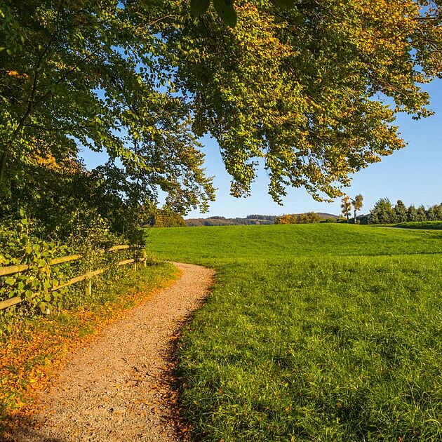 Wanderweg im Märkischen Kreis 