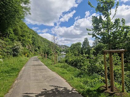 Kletterfelsen Lennebogen in Werdohl im Märkischen Sauerland