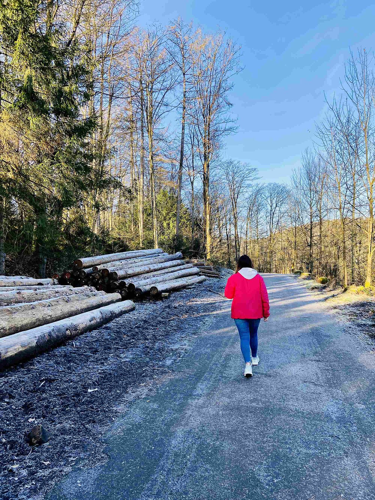 Eine ganze Menge Holz!