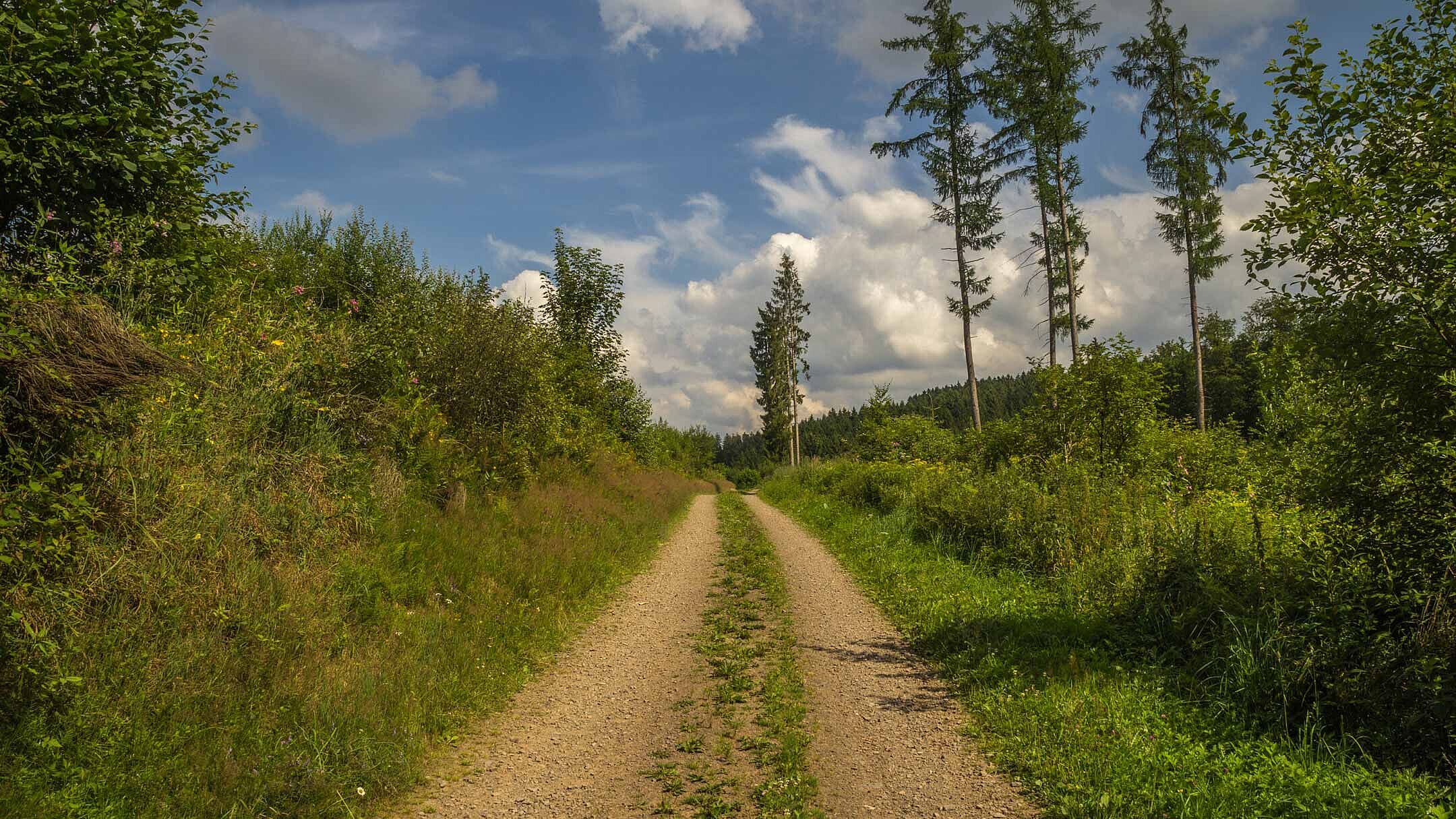 Wanderweg in Meinerzhagen im Märkischen Sauerland