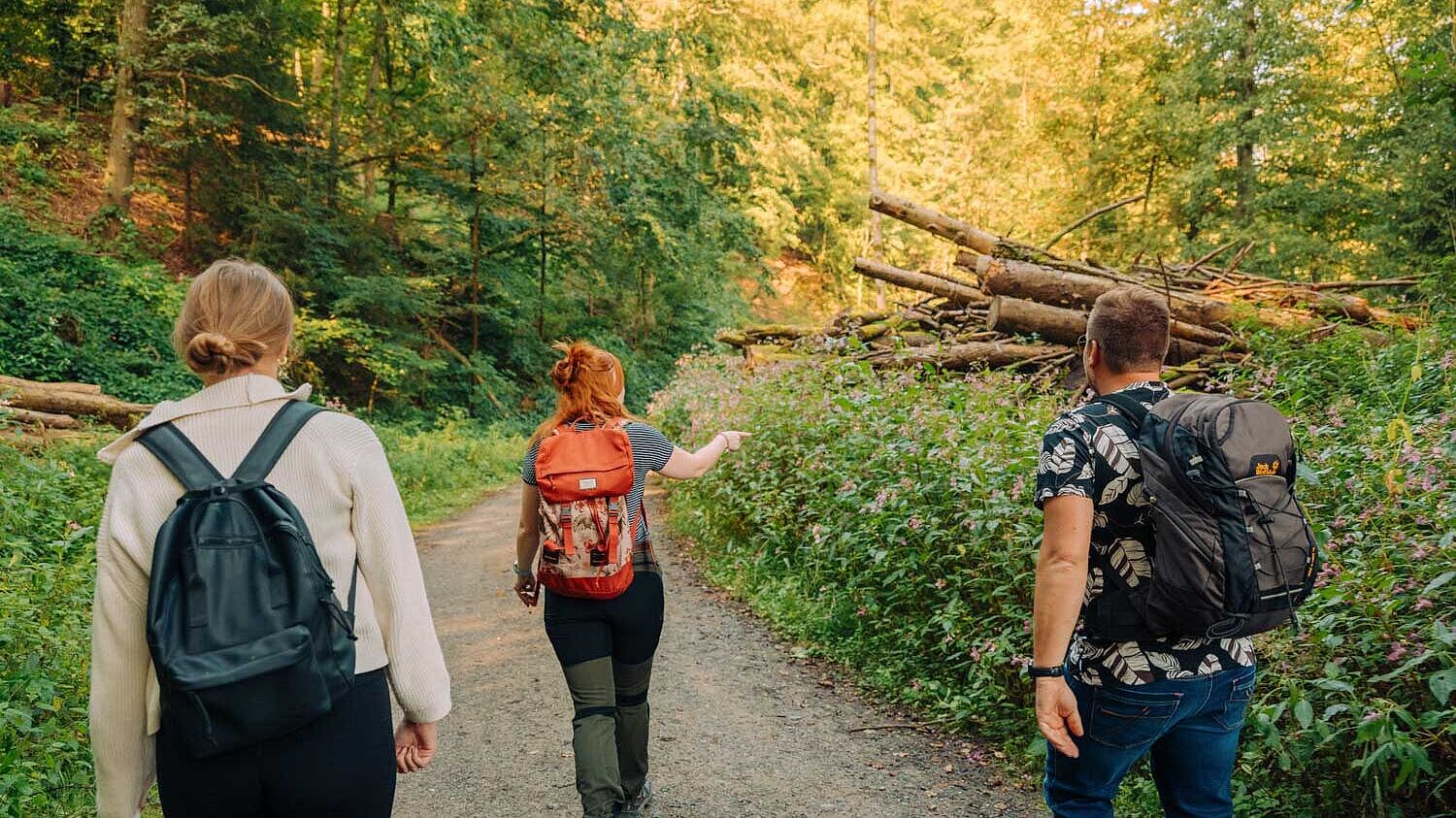 Wandern im Märkischen Sauerland