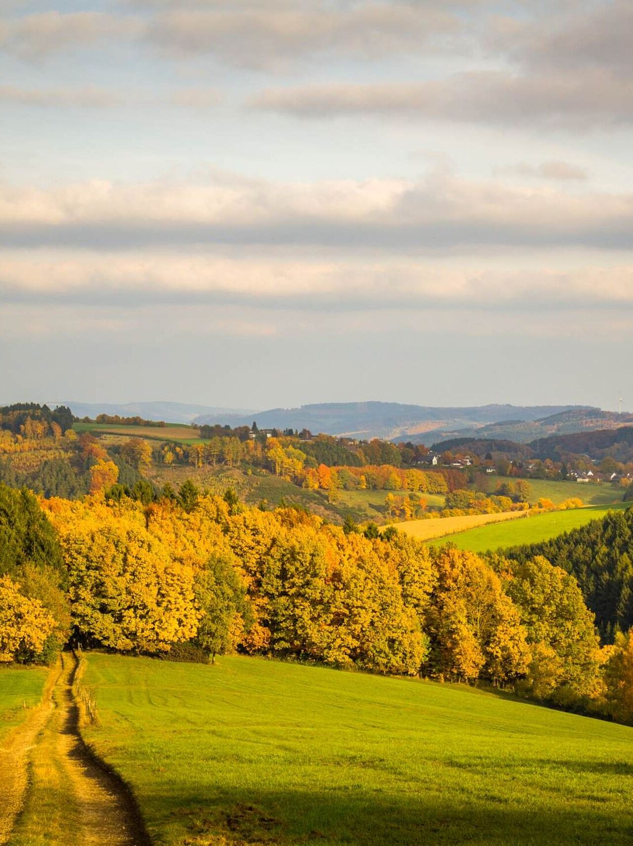 Die Herscheider Herbstlandschaft glänzt im goldenen Oktober