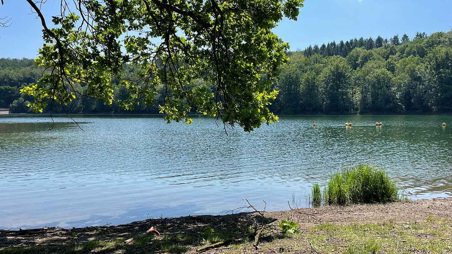 Badestelle an der Glörtalsperre im Märkischen Sauerland