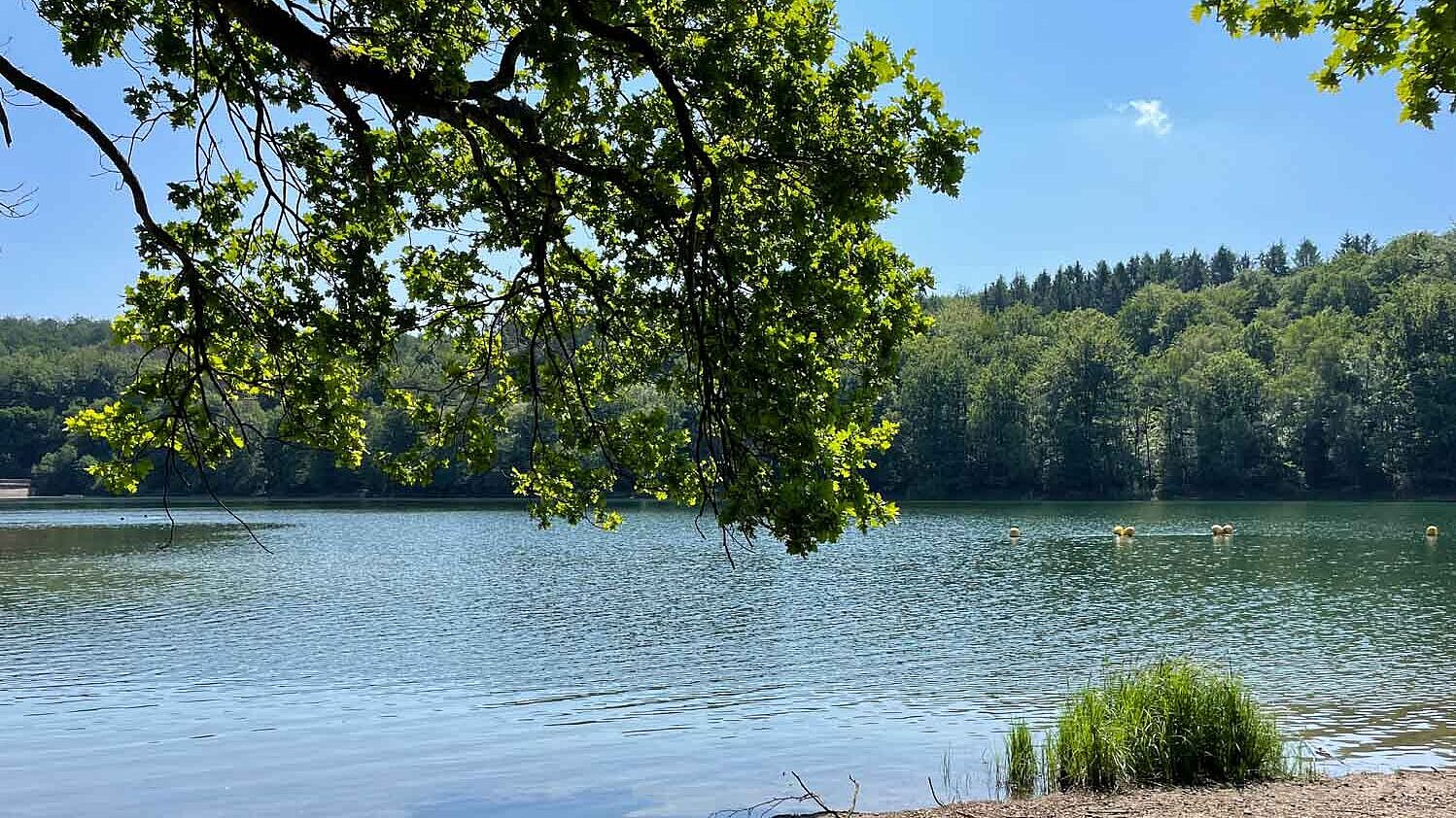 Badestelle an der Glörtalsperre im Märkischen Sauerland