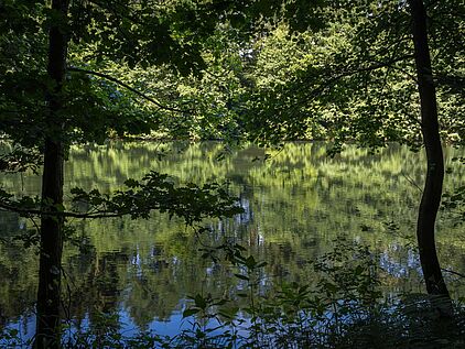 Genkeltalsperre in Kierspe