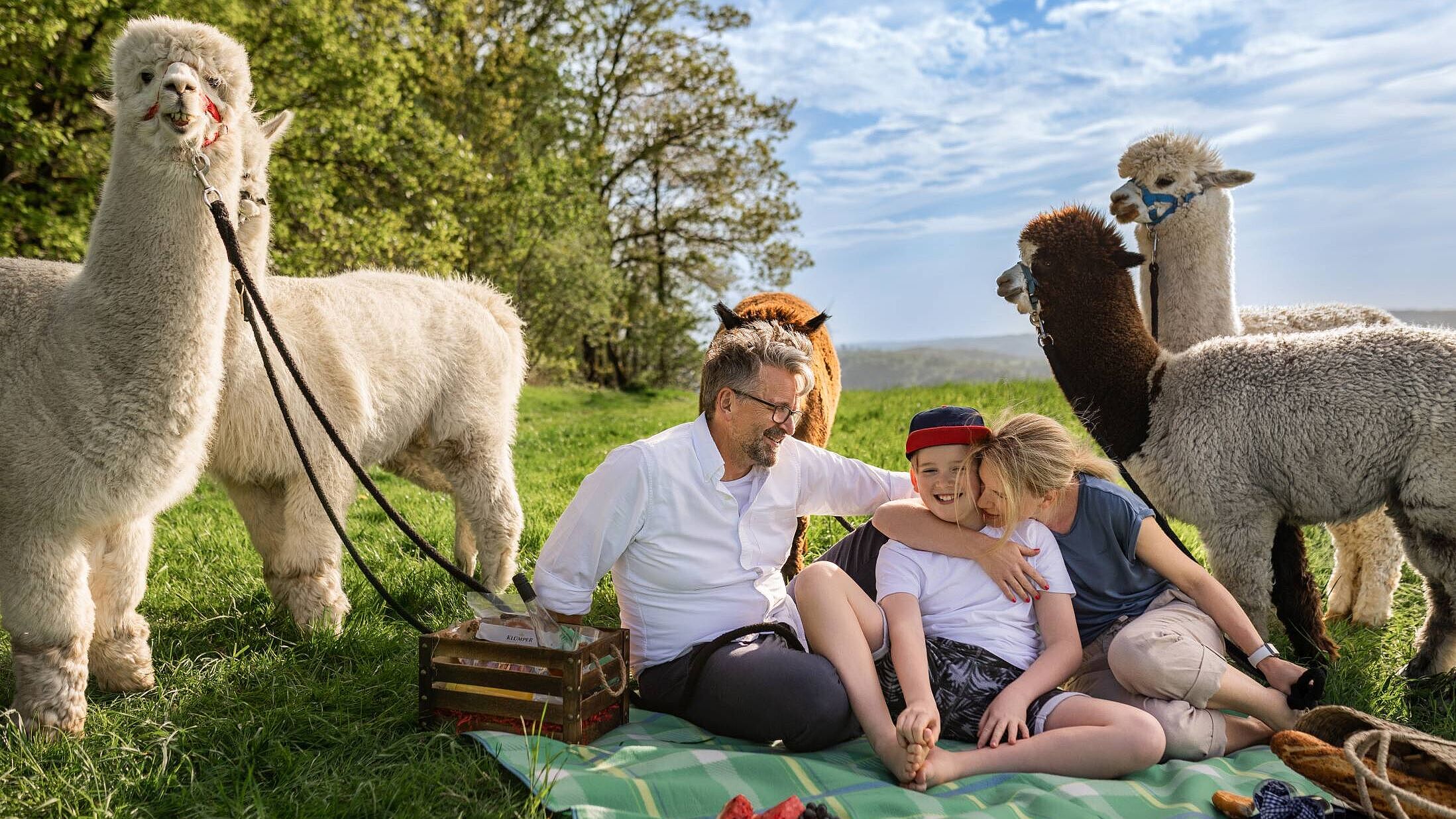 Alpaka Wanderung im Märkischen Sauerland