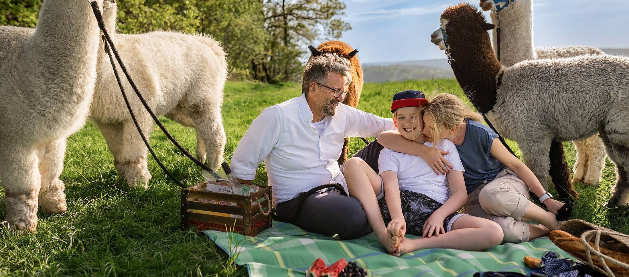 Alpaka Wanderung im Märkischen Sauerland