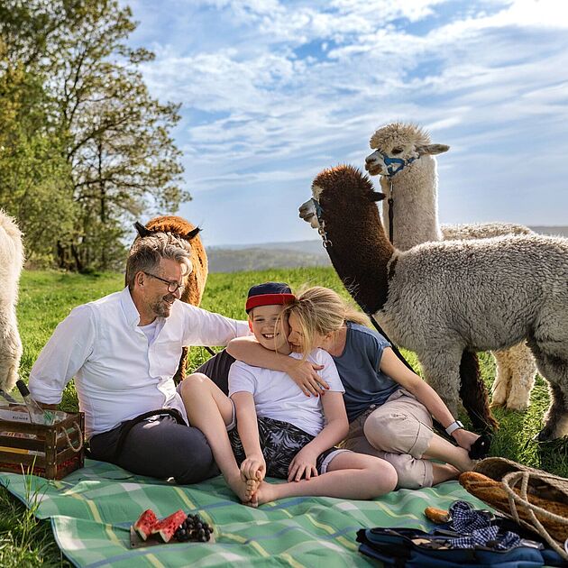 Alpaka Wanderung im Märkischen Sauerland