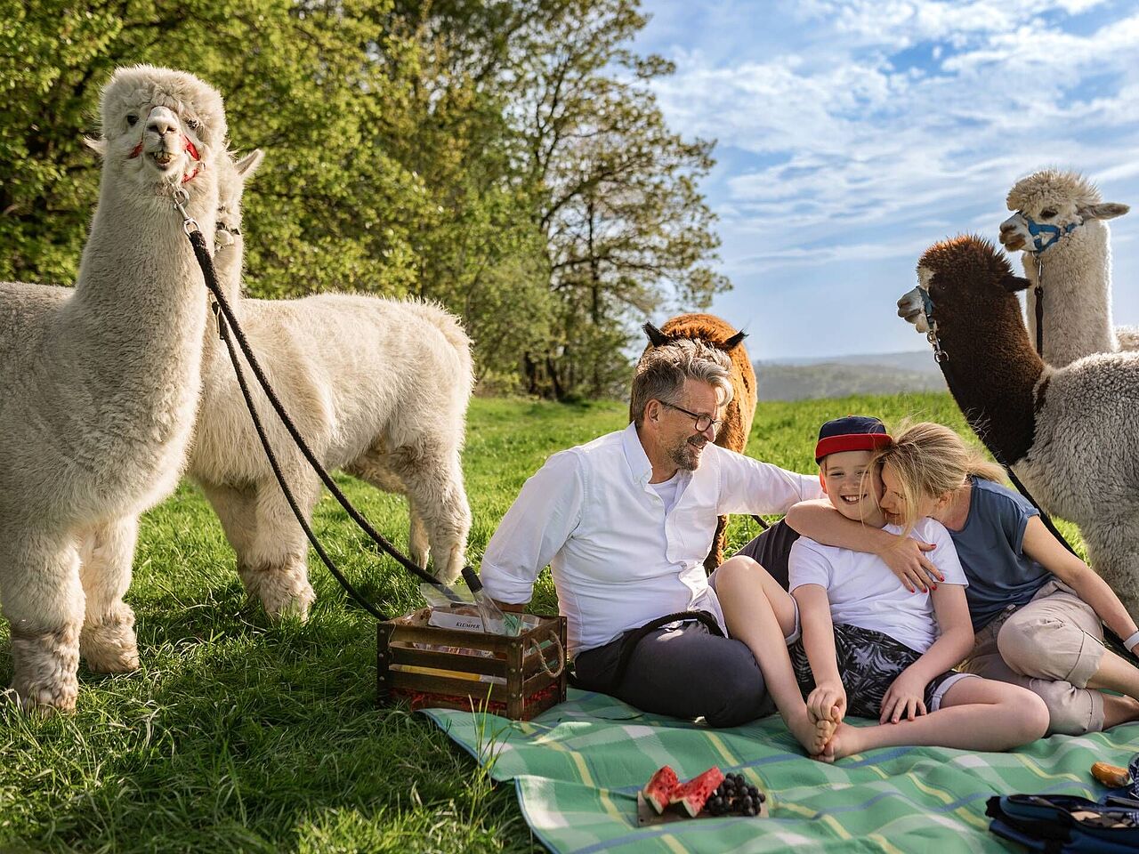 Alpaka Wanderung im Märkischen Sauerland