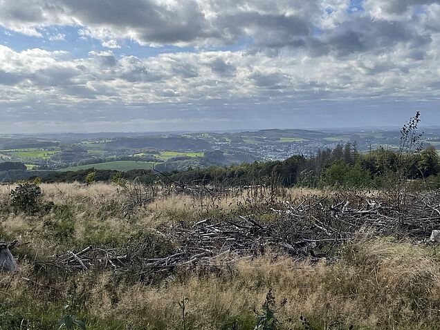 Tolle Aussicht auch Richtung Südwesten