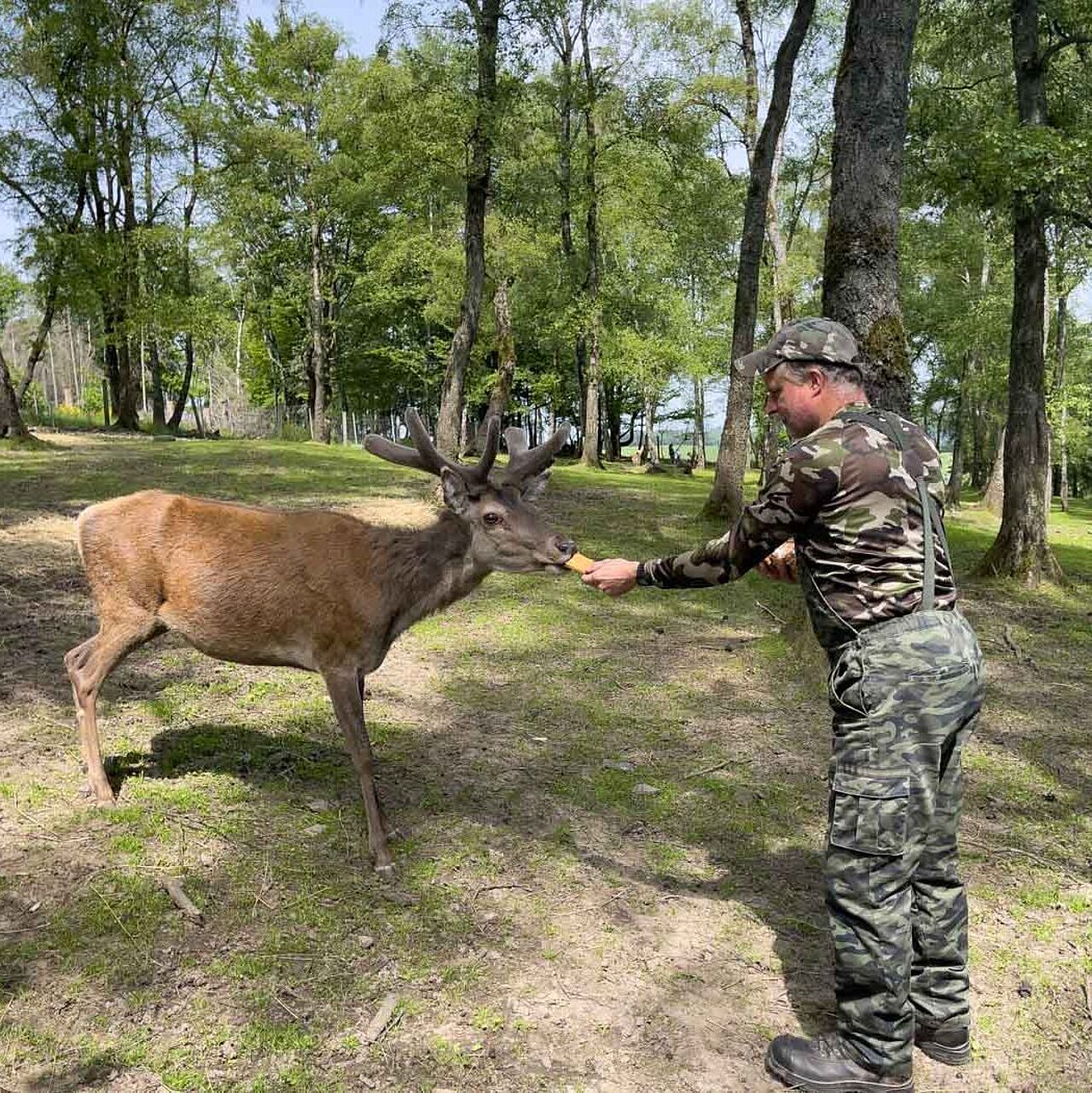 Wildgehege Mesekendahl in Schalksmühle im Märkischen Sauerland