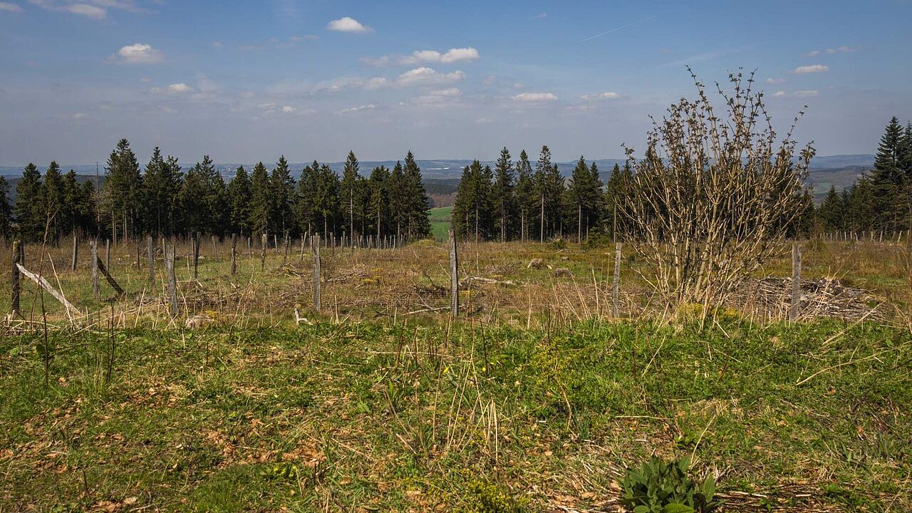 Die Nordhelle im Ebbegebirge 